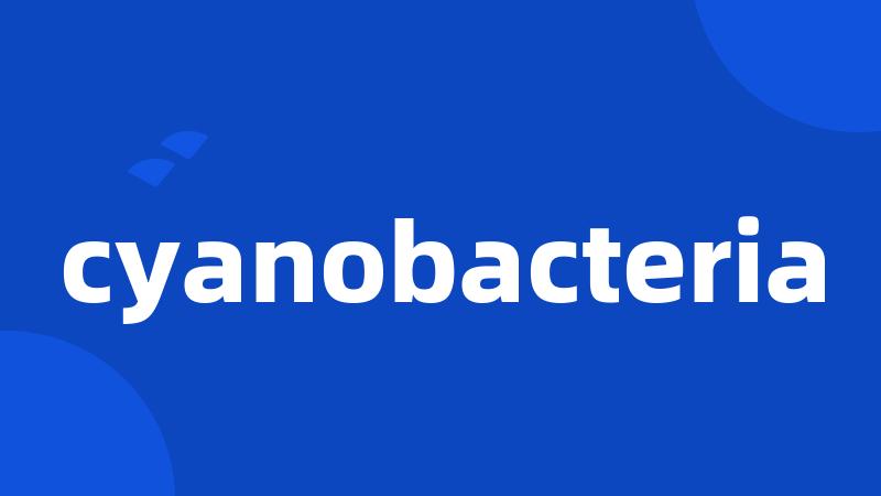 cyanobacteria