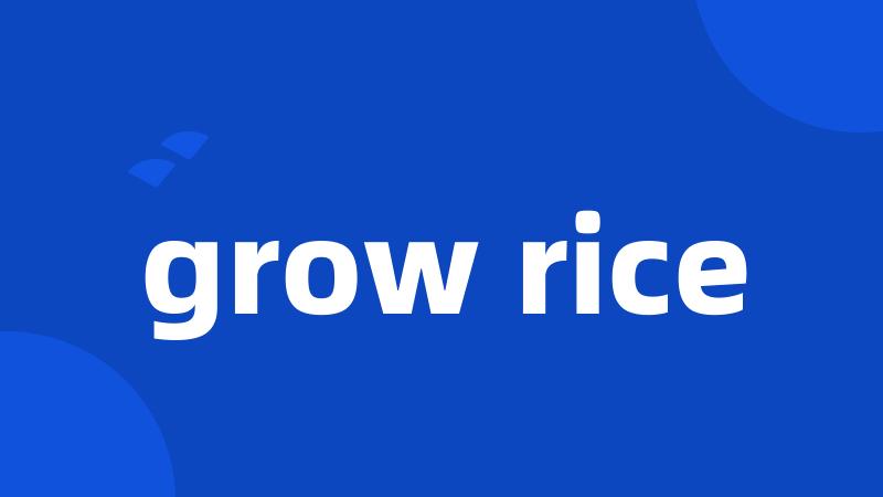 grow rice