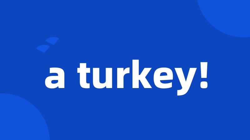 a turkey!