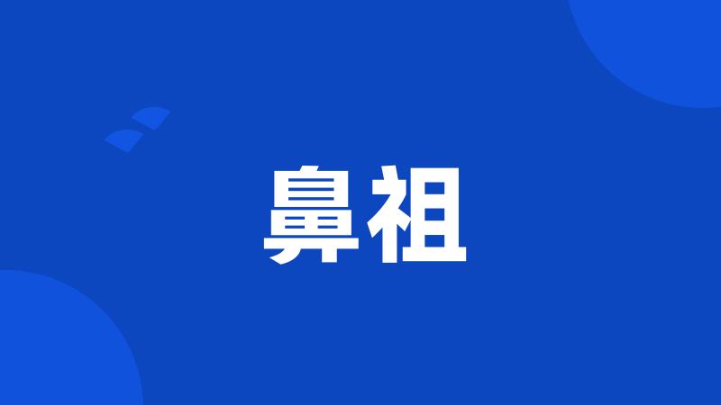 鼻祖