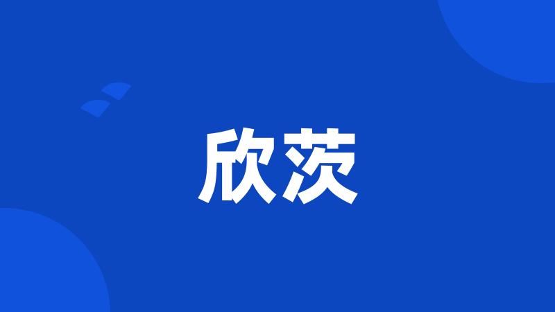 欣茨
