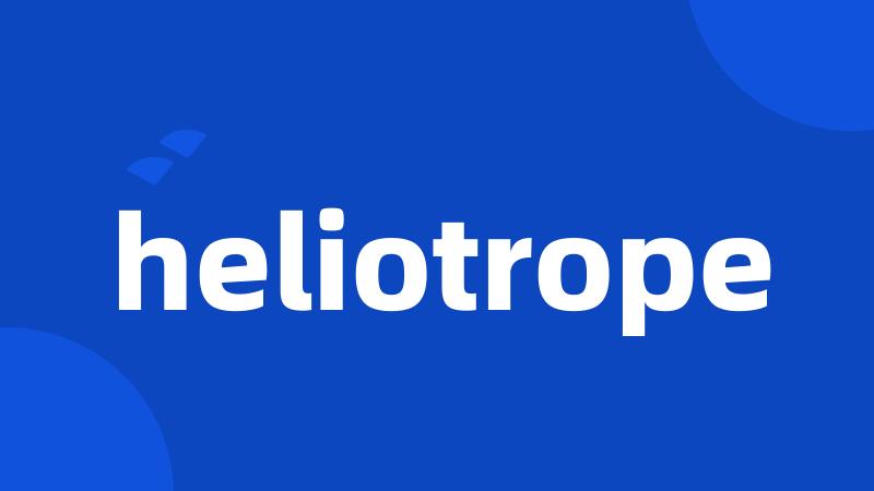 heliotrope