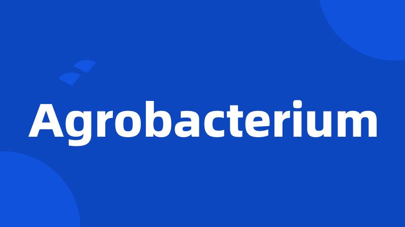 Agrobacterium