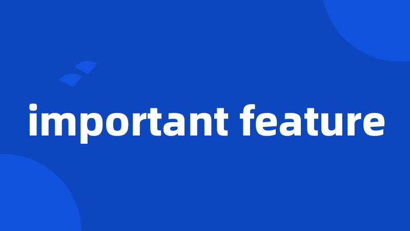 important feature