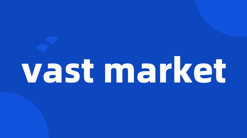 vast market