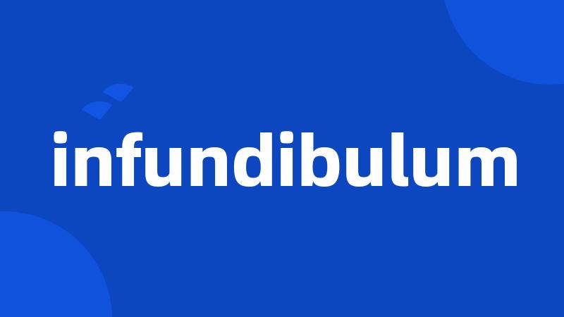 infundibulum
