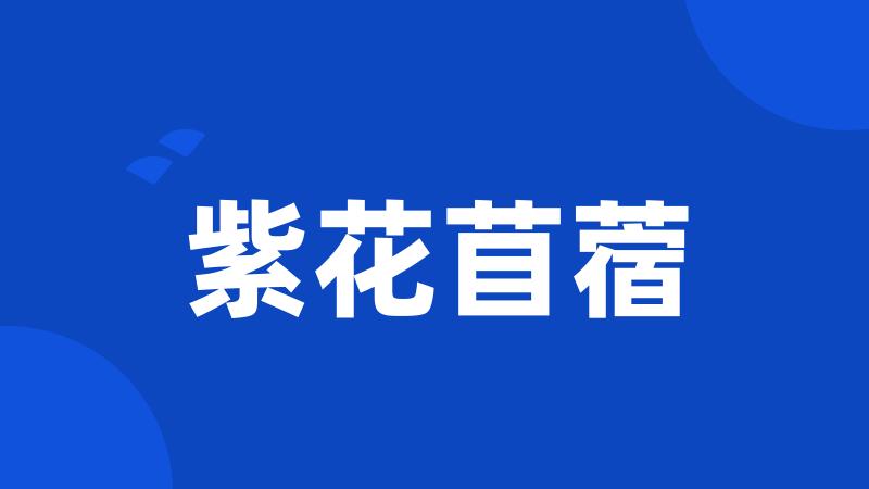 紫花苜蓿