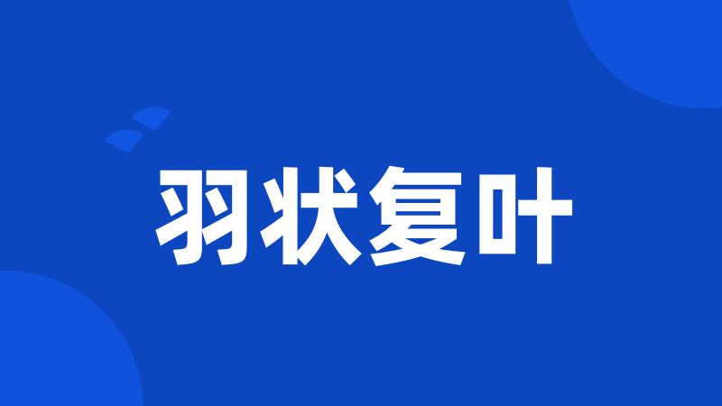 羽状复叶
