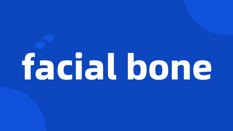 facial bone