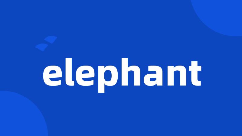 elephant