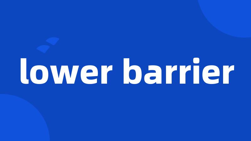 lower barrier