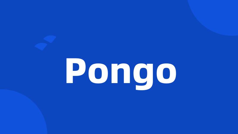 Pongo