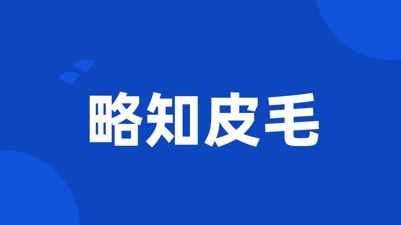 略知皮毛
