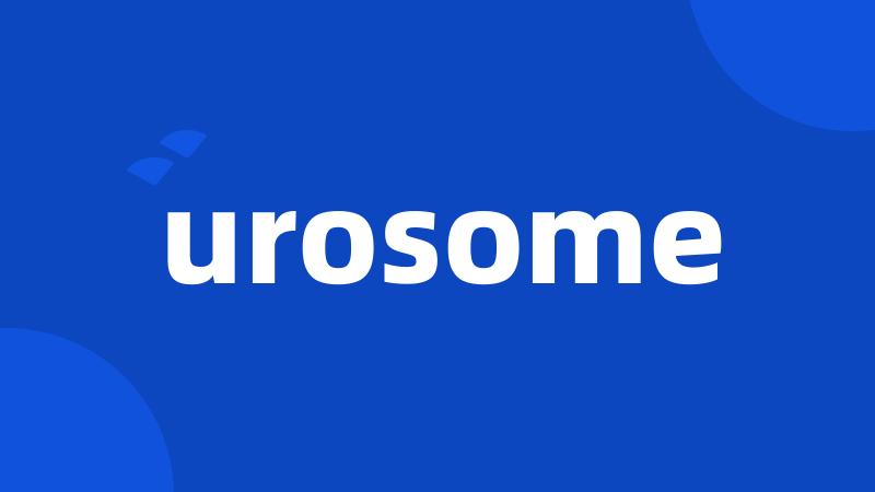urosome