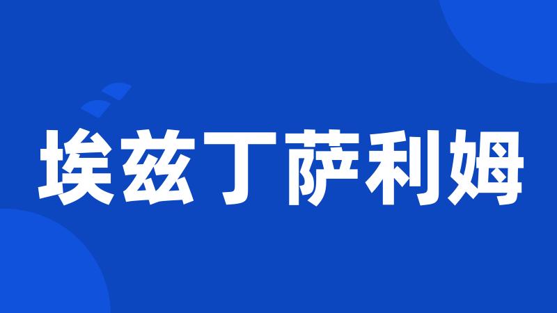 埃兹丁萨利姆