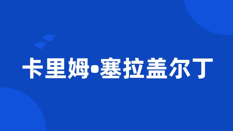 卡里姆•塞拉盖尔丁