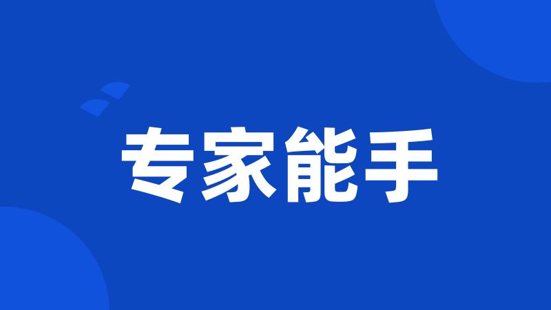 专家能手