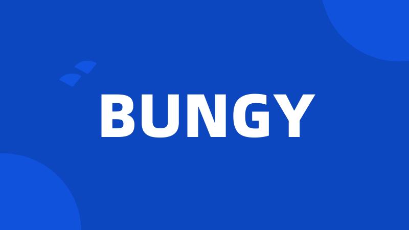 BUNGY