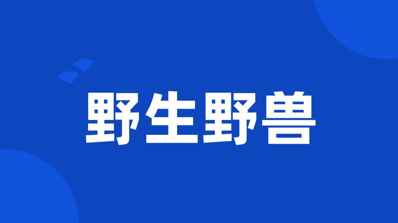 野生野兽