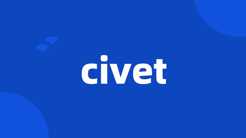 civet