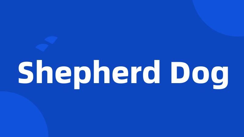 Shepherd Dog