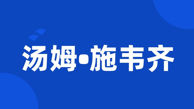 汤姆•施韦齐