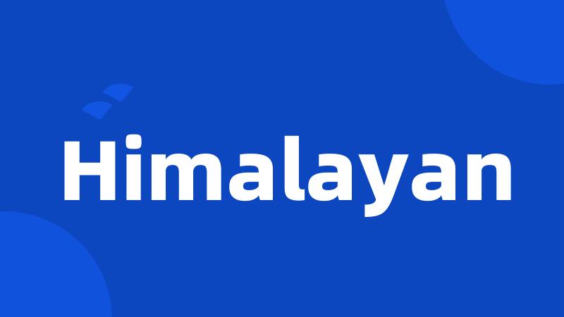 Himalayan
