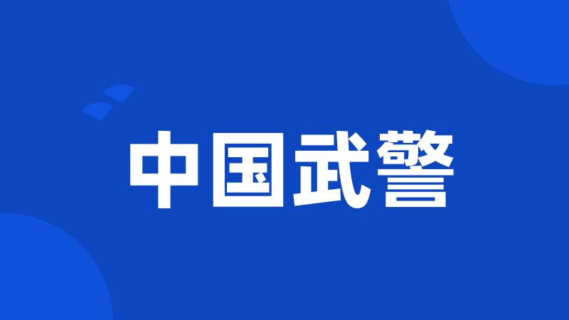 中国武警