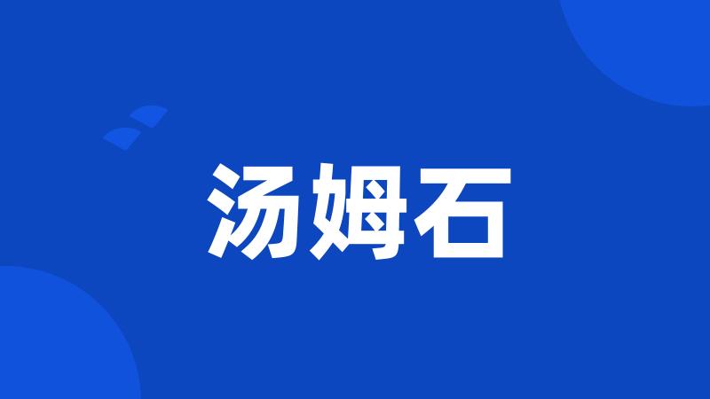 汤姆石