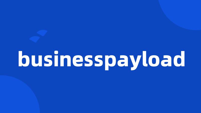businesspayload