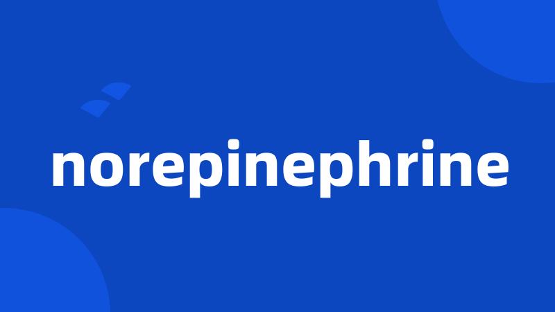 norepinephrine