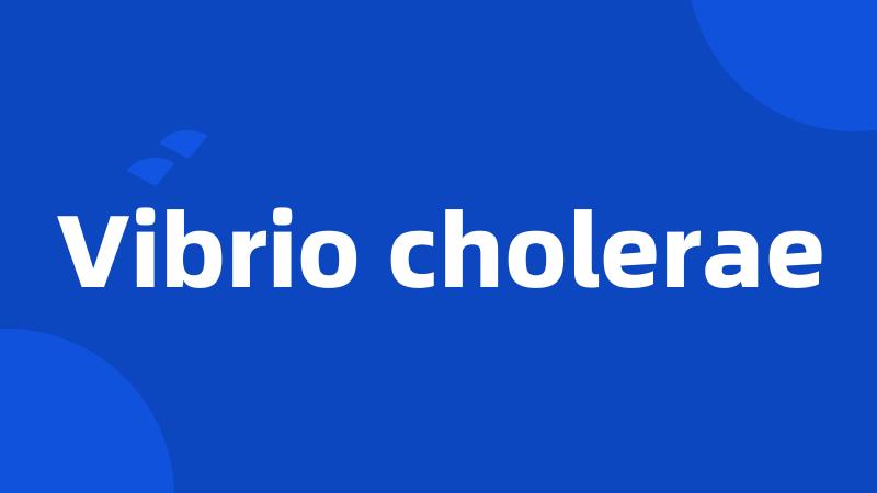 Vibrio cholerae