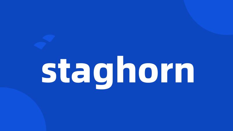 staghorn