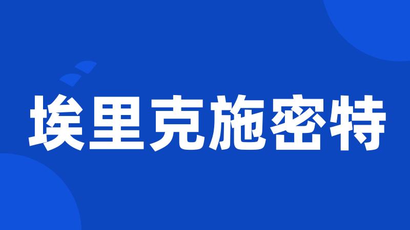 埃里克施密特