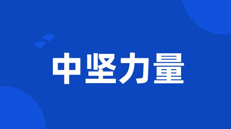 中坚力量