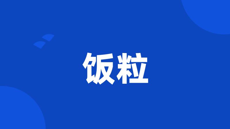 饭粒