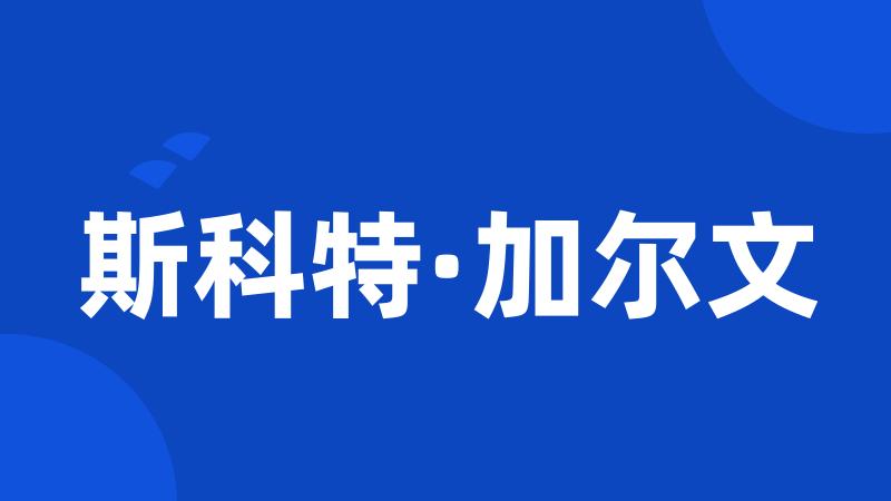 斯科特·加尔文