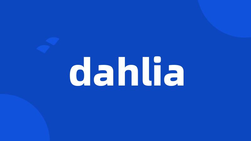 dahlia