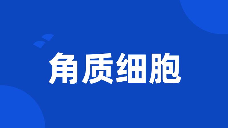 角质细胞