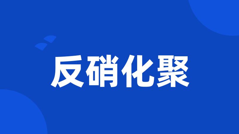 反硝化聚