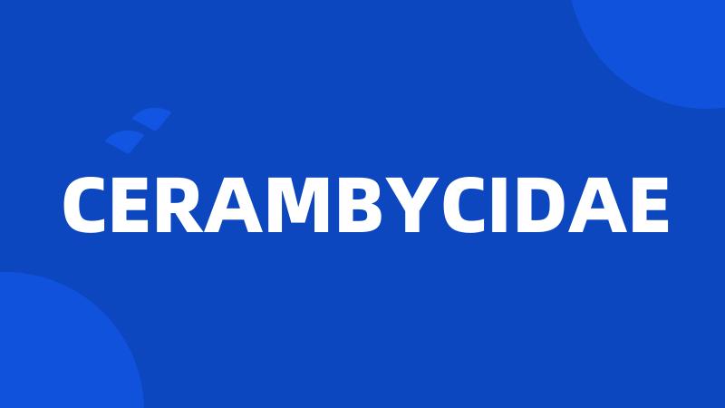 CERAMBYCIDAE