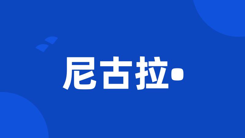 尼古拉•