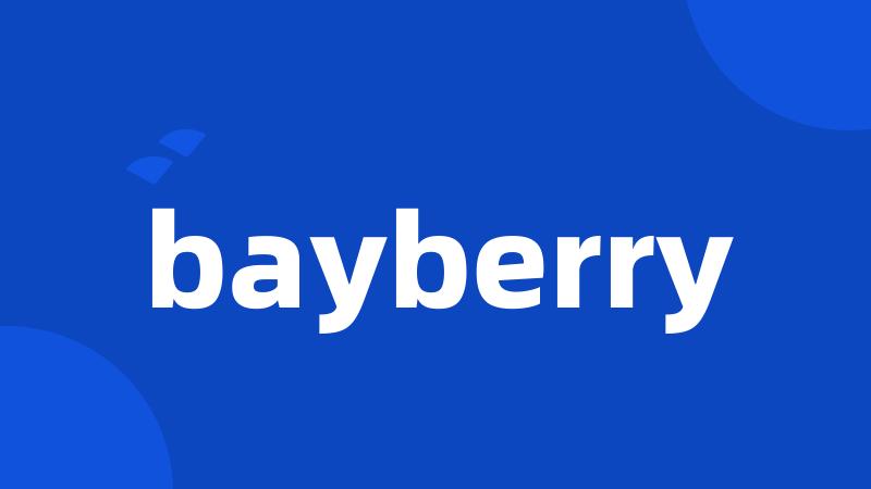 bayberry