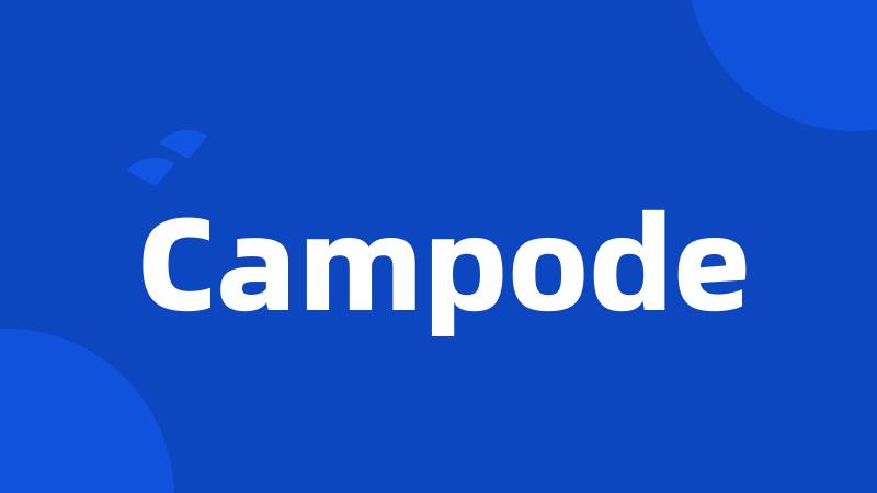 Campode