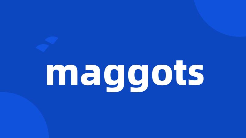 maggots