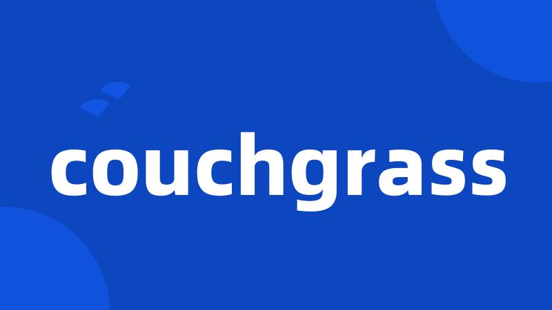 couchgrass