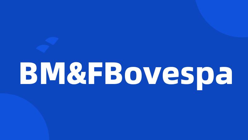 BM&FBovespa