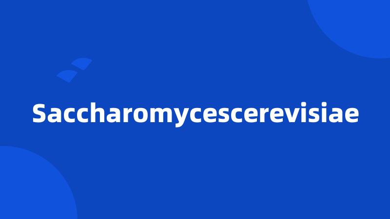 Saccharomycescerevisiae