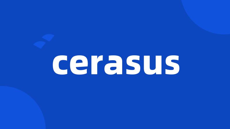 cerasus