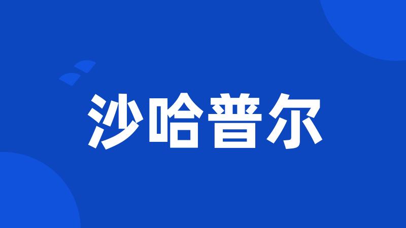 沙哈普尔